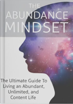 the abundance mindset